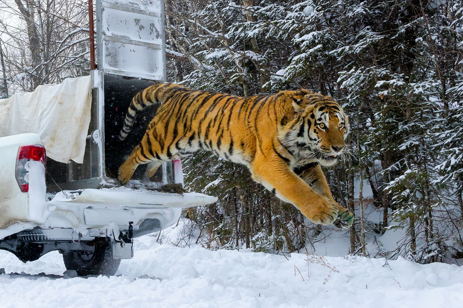 Юрий Смитюк