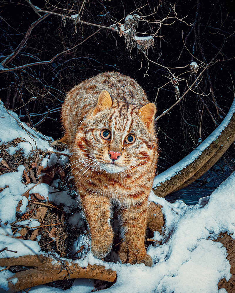 Юрий Смитюк